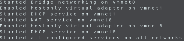 vmware networks start success